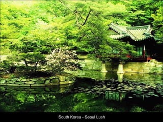 South Korea - Seoul Lush 