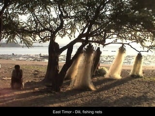 East Timor - Dili, fishing nets 