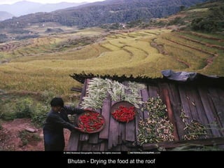 Bhutan - Drying the food at the roof 