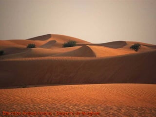 Emiratos Árabes Unidos – Desierto de Margham  