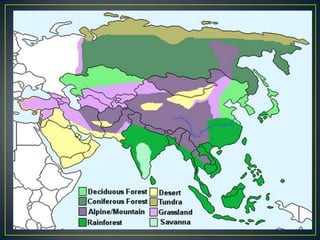 Asia (final vesion)