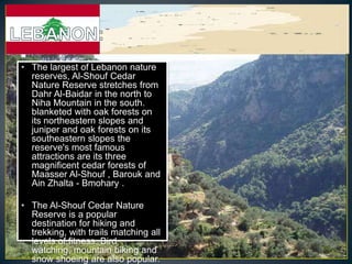 • The largest of Lebanon nature
  reserves, Al-Shouf Cedar
  Nature Reserve stretches from
  Dahr Al-Baidar in the north to
  Niha Mountain in the south.
  blanketed with oak forests on
  its northeastern slopes and
  juniper and oak forests on its
  southeastern slopes the
  reserve's most famous
  attractions are its three
  magnificent cedar forests of
  Maasser Al-Shouf , Barouk and
  Ain Zhalta - Bmohary .

• The Al-Shouf Cedar Nature
  Reserve is a popular
  destination for hiking and
  trekking, with trails matching all
  levels of fitness. Bird
  watching, mountain biking and
  snow shoeing are also popular.
 