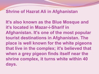 Shrine of Hazrat Ali in Afghanistan
It's also known as the Blue Mosque and
it's located in Mazar-i-Sharif in
Afghanistan. It's one of the most popular
tourist destinations in Afghanistan. The
place is well known for the white pigeons
that live in the complex; it's believed that
when a grey pigeon finds itself near the
shrine complex, it turns white within 40
days.
 