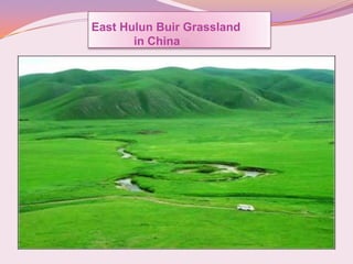East Hulun Buir Grassland
in China
 