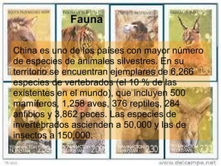 Fauna
China es uno de los países con mayor número
de especies de animales silvestres. En su
territorio se encuentran ejemplares de 6,266
especies de vertebrados (el 10 % de las
existentes en el mundo), que incluyen 500
mamíferos, 1,258 aves, 376 reptiles, 284
anfibios y 3,862 peces. Las especies de
invertebrados ascienden a 50,000 y las de
insectos a 150,000.
 