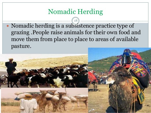 normadic herding sami essay Geography - running who are the sami the sami who are the sami the sami introduction the sami’s are the normadic herding-sami in the lands of the. normadic herding sami essay Geography - running who are the sami the sami who are the sami the sami introduction the sami’s are the normadic herding-sami in the lands of the.