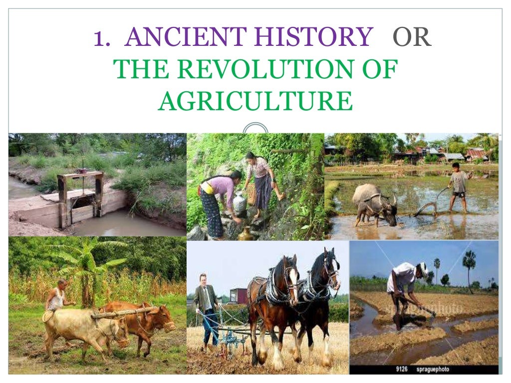 history of agriculture assignment