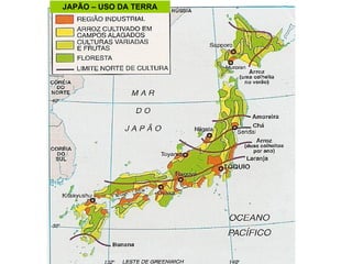 JAPÃO – USO DA TERRA 