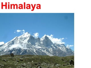 Himalaya

 