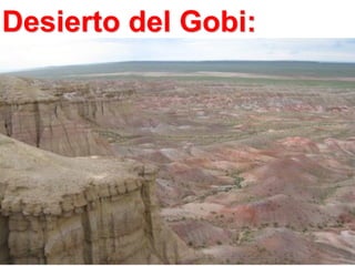 Desierto del Gobi:

 