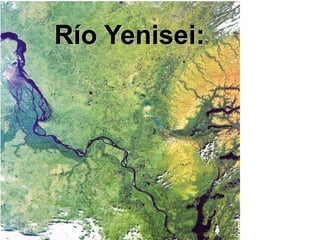 Río Yenisei:

 