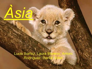 Àsia

 Lucia Ibañez, Laura Moreno, Antoni
       Rodriguez, Daniel Soler
 