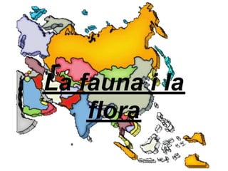 La fauna i la
    flora
 