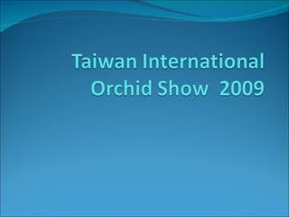 Asia - Taiwan, International Orchid Show 