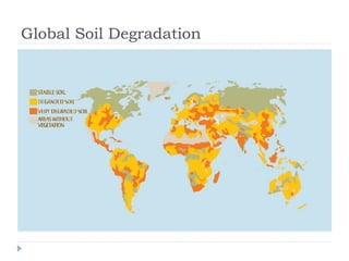 Global Soil Degradation
 