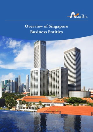 Overview of Singapore
  Business Entities
 