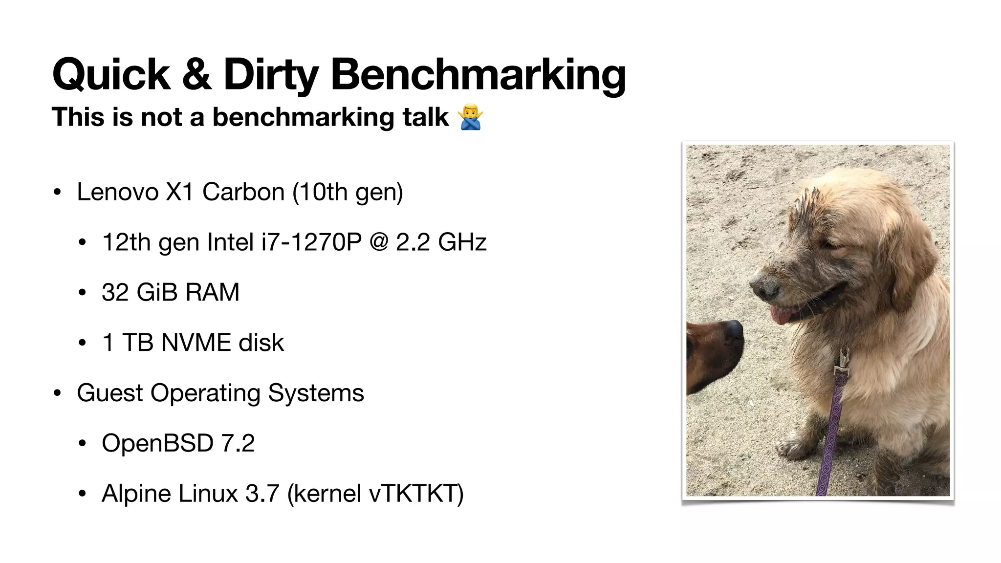 Quick & Dirty Benchmarking
This is not a benchmarking talk 🙅
• Lenovo X1 Carbon (10th gen)
• 12th gen Intel i7-1270P @ 2.2 GHz
• 32 GiB RAM
• 1 TB NVME disk
• Guest Operating Systems
• OpenBSD 7.2
• Alpine Linux 3.7 (kernel vTKTKT)
 
