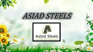 ASIAD STEELS
 
