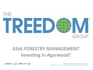 ASIA FORESTRY MANAGEMENT
    Investing In Agarwood!
 