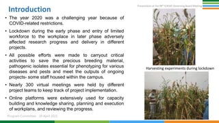 Presentation at the 98th ICRISAT Governing Board Meeting
Program Committee 20 April 2021
Introduction
• The year 2020 was a challenging year because of
COVID-related restrictions.
• Lockdown during the early phase and entry of limited
workforce to the workplace in later phase adversely
affected research progress and delivery in different
projects.
• All possible efforts were made to carryout critical
activities to save the precious breeding material,
pathogenic isolates essential for phenotyping for various
diseases and pests and meet the outputs of ongoing
projects- some staff housed within the campus.
• Nearly 300 virtual meetings were held by different
project teams to keep track of project implementation.
• Online platforms were extensively used for capacity
building and knowledge sharing, planning and execution
of workplans, and reviewing the progress.
Harvesting experiments during lockdown
 