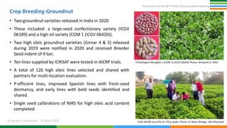 Presentation at the 98th ICRISAT Governing Board Meeting
Program Committee 20 April 2021
Crop Breeding-Groundnut
• Two groundnut varieties released in India in 2020
• These included- a large-seed confectionary variety (ICGV
06189) and a high oil variety (CGM 1 (ICGV 06420)).
• Two high oleic groundnut varieties (Girnar 4 & 5) released
during 2019 were notified in 2020 and received Breeder
Seed indent of 9 ton.
• Ten lines supplied by ICRISAT were tested in AICRP trials.
• A total of 126 high oleic lines selected and shared with
partners for multi-location evaluation.
• P-efficient lines, improved Spanish lines with fresh-seed
dormancy, and early lines with bold seeds identified and
shared.
• Single seed calibrations of NIRS for high oleic acid content
completed.
ICGV 06189 has 62% of >70 g seeds; Photo: Dr Babu Motagi, UAS-Dharwad
Chhattisgarh Mungfali-1 (CGM 1) (ICGV 06420) Photo: Shrikanth S, IGKV
 
