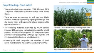 Presentation at the 98th ICRISAT Governing Board Meeting
Program Committee 20 April 2021
Crop Breeding- Pearl millet
• Two pearl millet forage varieties (TSFB 15-4 and TSFB
15-8) were released for cultivation in five south Indian
states.
• These varieties are resistant to leaf spot and blight
diseases and have significantly higher green forage and
dry fodder yields and superior/or at par forage quality
compared to checks.
• The breeding materials evaluated by AICRP centers
included 120 promising trait/adaptation specific hybrid
parents, 30 biofortified progenies, 20 forage type open-
pollinated varieties (OPVs), 18 forage type hybrids, and
29 trials with high Fe dense hybrids/parents
• Currently 28 seed companies are member of Pearl
Millet Hybrid Parents Research Consortium (PMHPRC)
7
TSFB 15-4 Pearl millet variety for forage from ICRISAT
TSFB 15-8 pearl millet variety for forage from ICRISAT
 