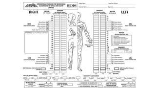 asia grade terminilogy.pptx spinal shock | PPTX