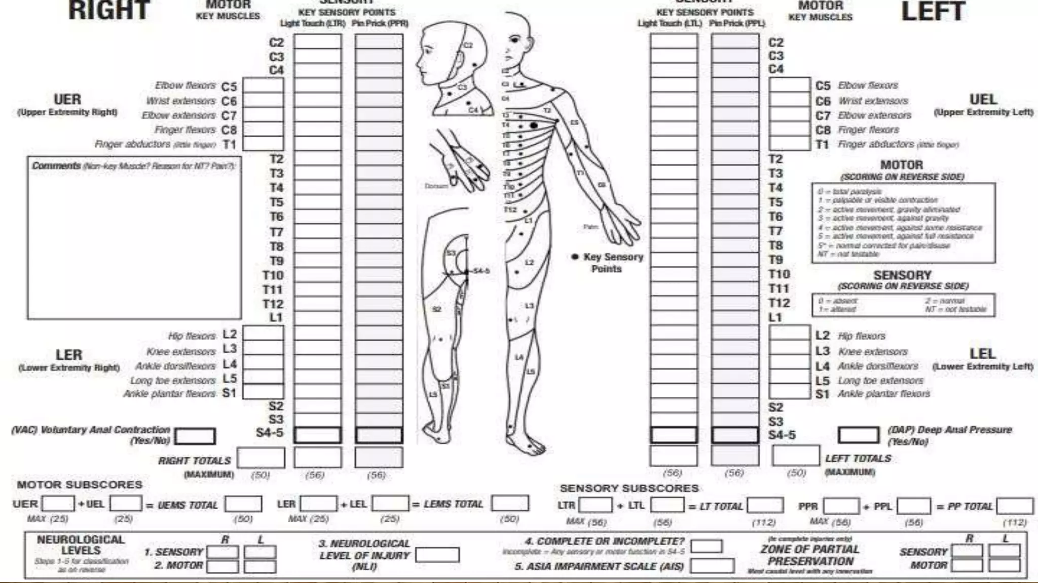 AIS - ASIA Impairment Scale | PPTX