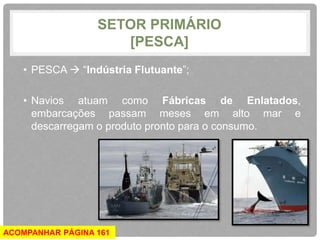 SETOR PRIMÁRIO 
[PESCA] 
• PESCA  “Indústria Flutuante”; 
• Navios atuam como Fábricas de Enlatados, 
embarcações passam meses em alto mar e 
descarregam o produto pronto para o consumo. 
ACOMPANHAR PÁGINA 161 
 