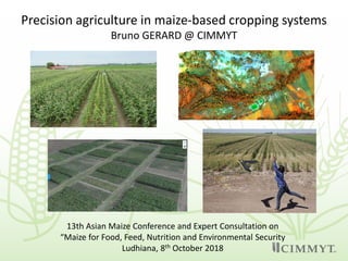 Precision agriculture in maize-based cropping systems
Bruno GERARD @ CIMMYT
13th Asian Maize Conference and Expert Consultation on
“Maize for Food, Feed, Nutrition and Environmental Security
Ludhiana, 8th October 2018
 