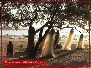 Timor oriental – Dili, redes de pesca 