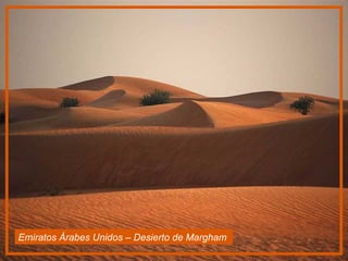 Emiratos Árabes Unidos – Desierto de Margham   