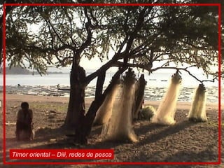 Timor oriental – Dili, redes de pesca 