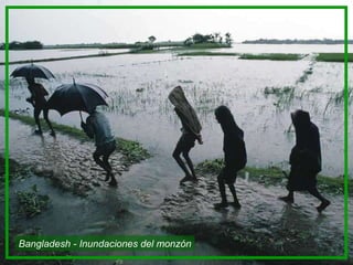 Bangladesh - Inundaciones del monzón 