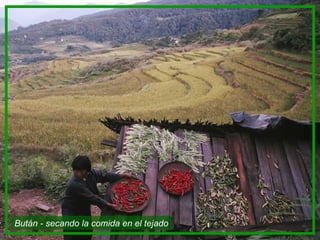 Bután - secando la comida en el tejado 