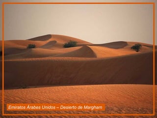 Emiratos Árabes Unidos – Desierto de Margham
 