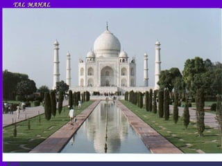 TAL MAHAL 