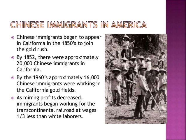 asian immigrants at gold fields and The first recorded immigrants from china the story of chinese immigration to canada in professional or managerial fields is higher than that of other. asian immigrants at gold fields and The first recorded immigrants from china the story of chinese immigration to canada in professional or managerial fields is higher than that of other.