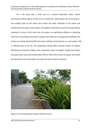 Using Natural Vegetation as a Sustainable Approach in Cooling and Humidifying to Achieve Effective 
Thermal Comfort in Belum Rainforest Resort 
ARC 2213/2234 Asian Architecture 10 
On a hot sunny day, a shrub acts as a natural evaporative cooler. Leaves continuously release vapour into the air by transpiration, cooling down the surrounding air. The sunlight heats up the leaves thus excites the water molecules in the leaves and transformed into vapour, those vapour are capable to hold great amount of energy without releasing it as heat. At the same time, the vapour are significantly effective in absorbing heat from surrounding environment, making it very effective in cooling and humidifying. The shrubs are actually absorbing 90% short wave radiation incoming from sun, and another 10% is reflected back to the sky. The evaporative cooling effect normally reaches its highest effectiveness during the midday, when evaporation levels are highest. Studies have shown that open pores leaves will release about 50% to 70% of the amount of vapour that would be released from the same water area under the same weather conditions. 
Figure 2.3.2: Shrubs planted in belum rainforest resort.  