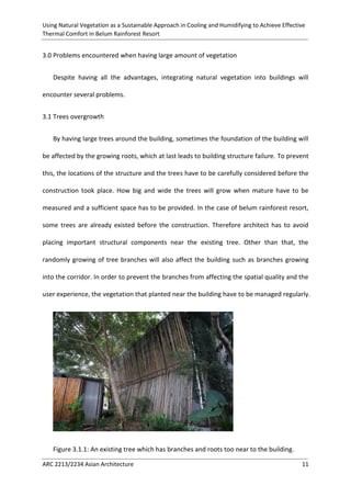 Using Natural Vegetation as a Sustainable Approach in Cooling and Humidifying to Achieve Effective 
Thermal Comfort in Belum Rainforest Resort 
ARC 2213/2234 Asian Architecture 11 
3.0 Problems encountered when having large amount of vegetation 
Despite having all the advantages, integrating natural vegetation into buildings will encounter several problems. 
3.1 Trees overgrowth 
By having large trees around the building, sometimes the foundation of the building will be affected by the growing roots, which at last leads to building structure failure. To prevent this, the locations of the structure and the trees have to be carefully considered before the construction took place. How big and wide the trees will grow when mature have to be measured and a sufficient space has to be provided. In the case of belum rainforest resort, some trees are already existed before the construction. Therefore architect has to avoid placing important structural components near the existing tree. Other than that, the randomly growing of tree branches will also affect the building such as branches growing into the corridor. In order to prevent the branches from affecting the spatial quality and the user experience, the vegetation that planted near the building have to be managed regularly. 
Figure 3.1.1: An existing tree which has branches and roots too near to the building.  