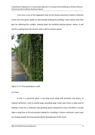 Using Natural Vegetation as a Sustainable Approach in Cooling and Humidifying to Achieve Effective 
Thermal Comfort in Belum Rainforest Resort 
ARC 2213/2234 Asian Architecture 6 
Ficus vine is one of the vegetation that can be found commonly in belum rainforest resort, the vines grow rapidly on wall, besides shading the building, it also reduce solar heat gain by reflecting the sunlight, slowing down the building heating process. Hence, it will result in cooling down the exterior wall as well as interior spaces. 
Figure 2.1.3: Vines growing on a wall. 
2.2 Trees 
A tree is a perennial plant, it has long trunk along with branches and leaves. In tropical rainforest, a tree is usually huge, providing large crown span hence a large area of shading. A tree has a relatively slow growing speed compared to vines, therefore it usually takes a long time to fill and provide shading for a building. In belum rainforest, some trees are already existed and reserved during the development of the resort.  