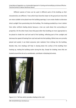 Using Natural Vegetation as a Sustainable Approach in Cooling and Humidifying to Achieve Effective 
Thermal Comfort in Belum Rainforest Resort 
ARC 2213/2234 Asian Architecture 7 
Different species of trees can be used in different parts of the building as their characteristics are different. Trees which have branches lower to the ground are trees that are more suitable to be placed near the building openings; it can create shades to decrease direct sunlight from penetrating into the building. The shading provided by a tree is better than other artificial shading device because a tree can cools down the surrounding air properties. On the other hand, trees that grow taller than building are more appropriate to be placed to shade the roof and wall of the building, reflecting part of the sunlight and decrease the speed of heating from roof and wall into the building. While trees are correctly placed and scaled, it can block excessive solar radiation from striking into the building. Besides that, tree shadings will help in slowing down the surface of the building from heating up, making the building cooler during the day. Except for shading, trees that are located around the site act as windbreaks, contribute in blocking hot winds. 
Figure 2.2.1: Tall tree which provides shading to the roof.  