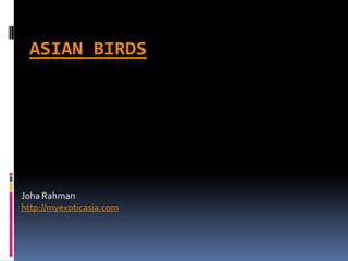 ASIAN BIRDS




Joha Rahman
http://myexoticasia.com
 