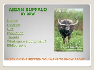 Names
Location
Diet
Population
Threats
What can we do to help?
Bibliography



CLICK ON THE SECTION YOU WANT TO KNOW ABOUT
 