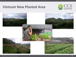 Vietnam New Planted Area
8
 