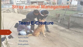 Stray animal Management
Presented by:
Ashwina poudel
Sumina khadka
Muna ghising
Bimala gadtaula
Team E-Creature
1
 