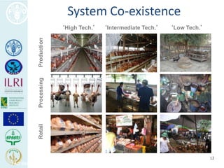 Human health risks at the animal-human interface 