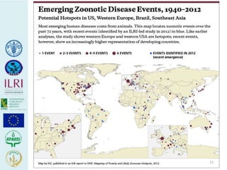 Human health risks at the animal-human interface 
