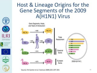 Human health risks at the animal-human interface 