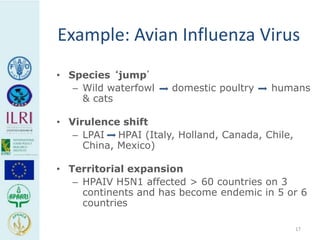Human health risks at the animal-human interface 